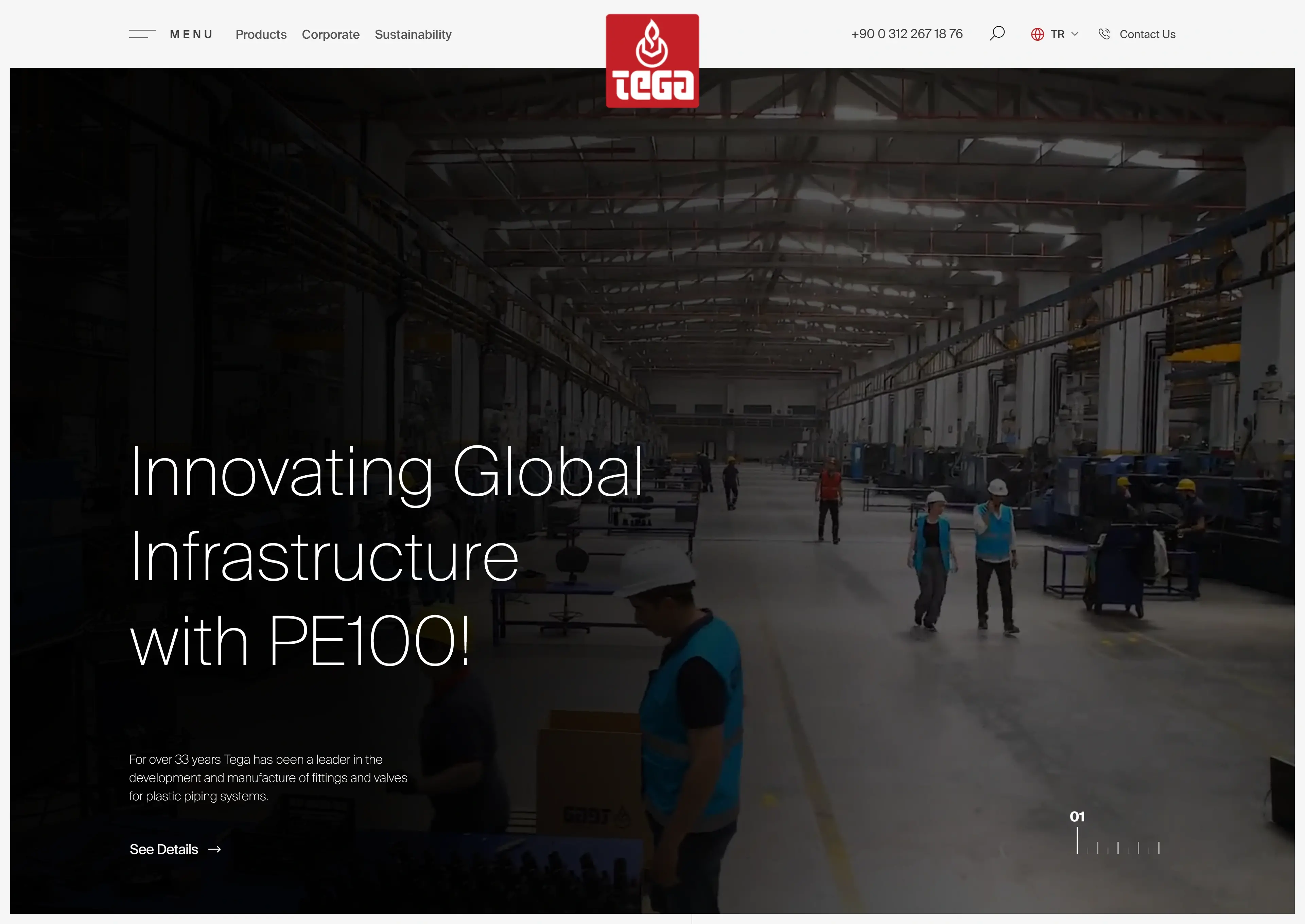 frontend.pentayazilim.com_demo_tega___gl=1_1466hsf__gcl_au_MjE5MjkzMzA2LjE3MzM5MjAwMTE. (2).webp
