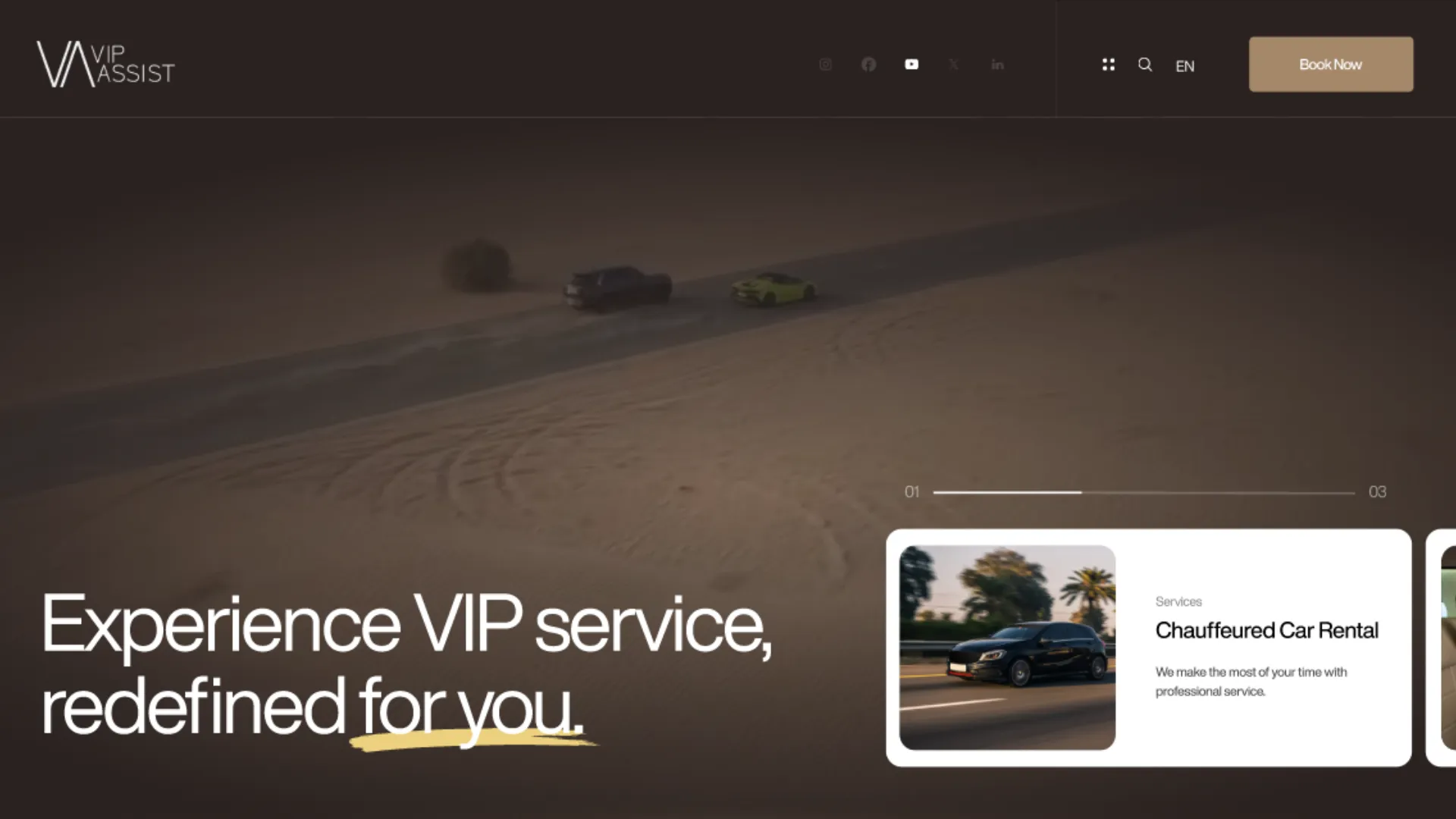 vip asist.png